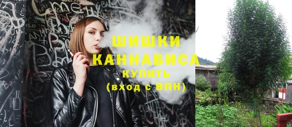 шишки Алексин