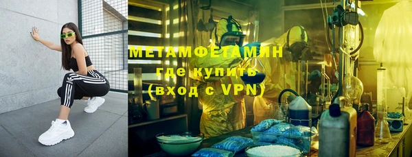 трава Аркадак