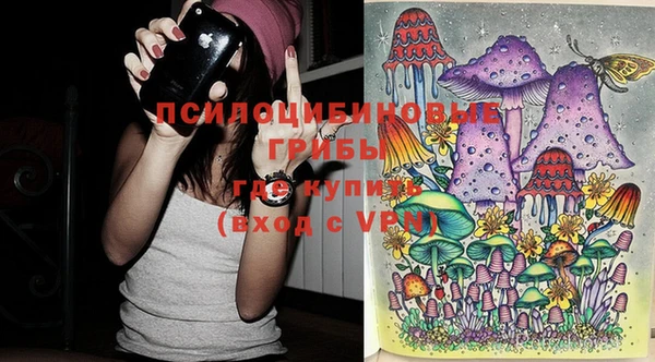 ешки Алзамай