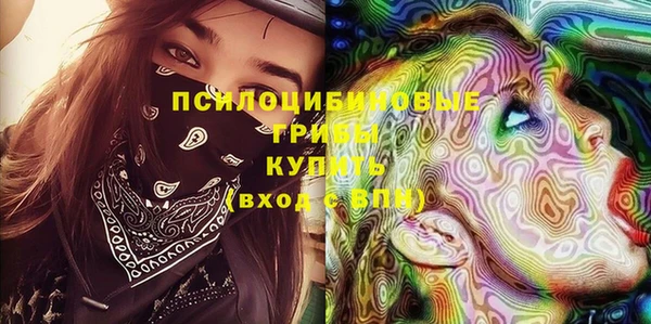 ешки Алзамай