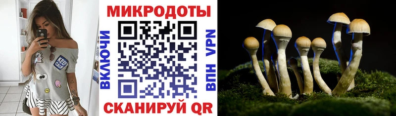 мега рабочий сайт  где найти наркотики  Белая Холуница  Галлюциногенные грибы прущие грибы 